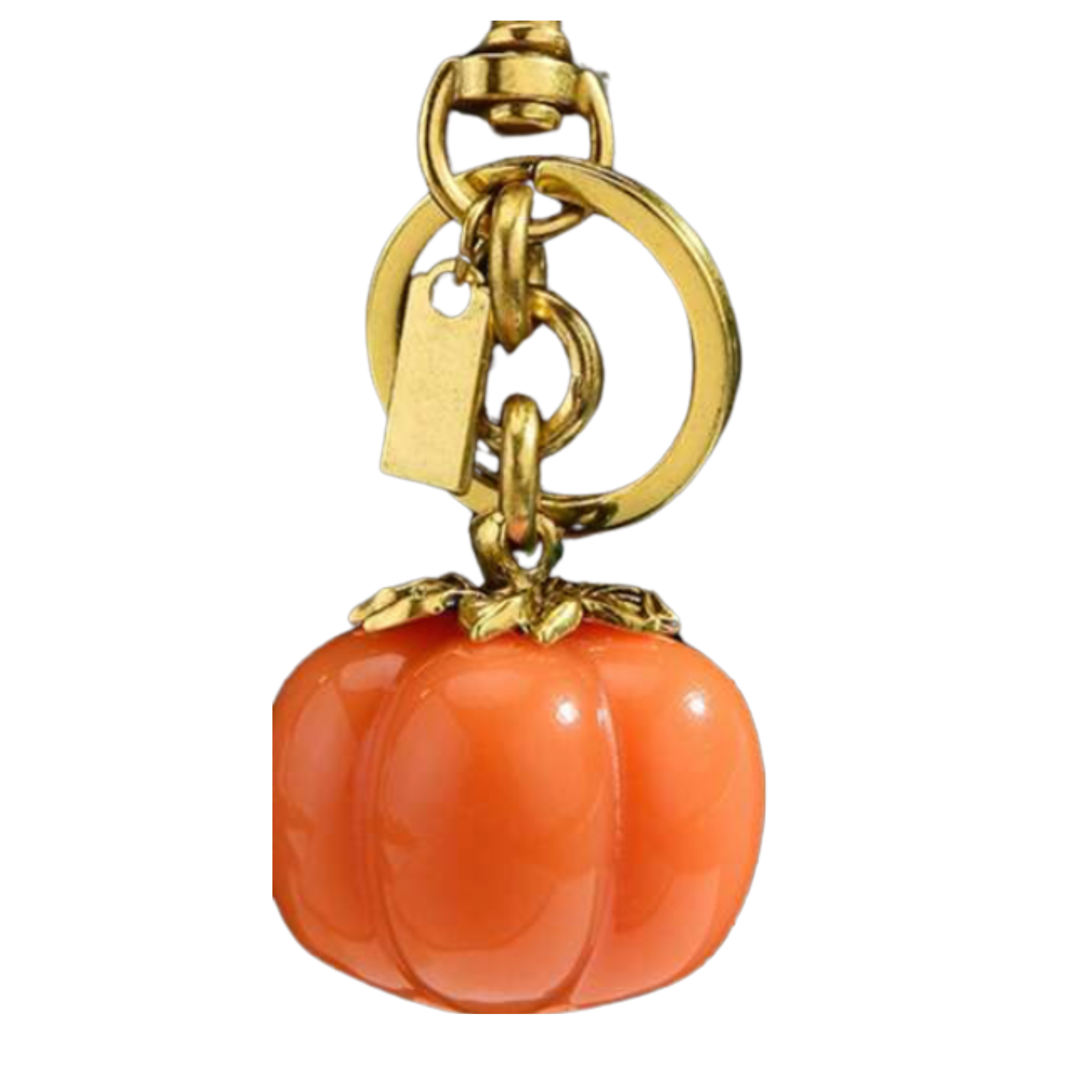 Pumpkin Cover Charm